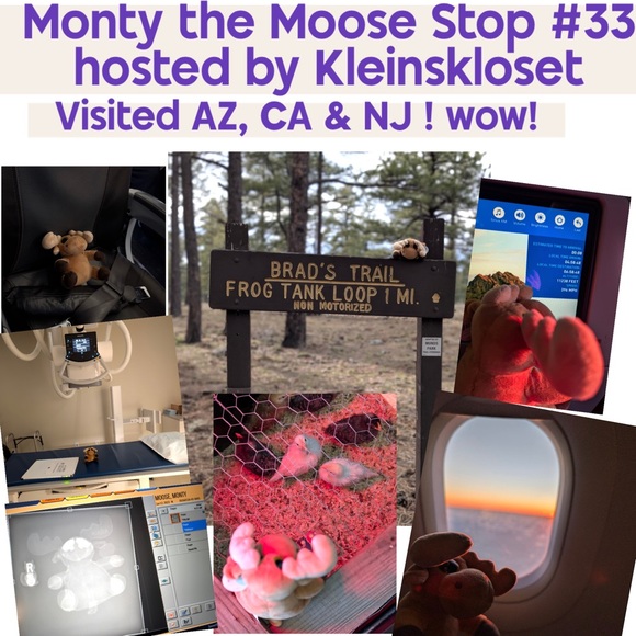 MONTY MOOSE TRACKING!     Where in the Posh Universe is Monty Moose? - Picture 2 of 16